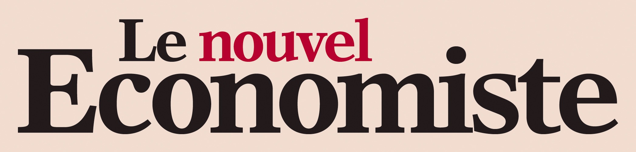 Epsilon-Research - Le Nouvel Economiste Logo
